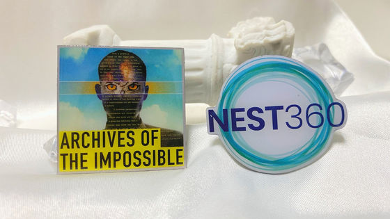 Custom Lapel Pin and Metal Badge with 2D/3D Design Epoxy Coating and Zinc Alloy Material