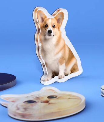 buy HAPPY GIFT Custom Manufacture Pet Design Acrylic Fridge Magnet  Cute Anime Customization Holographic Plastic Sticker online manufacture