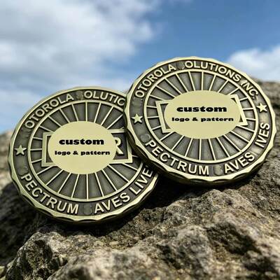 Buy Challenge Coin Custom 3D Zinc Alloy Metal Fashion Design Animal Manufacturer Wholesale online manufacture